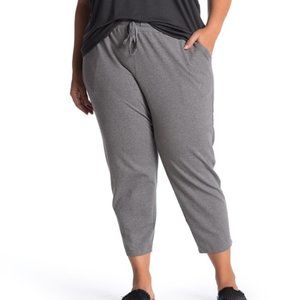 Eileen Fisher | Slouchy Ankle Pants | Moon | 1X